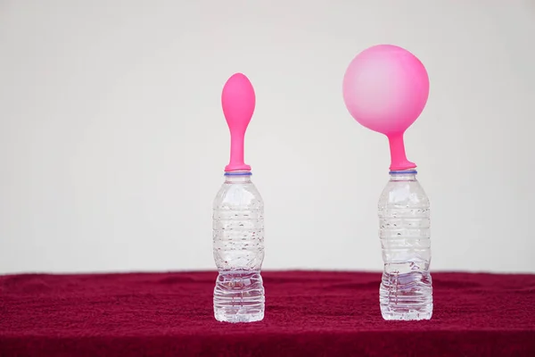 Eksperimen Sains Balon Merah Muda Dan Balon Datar Atas Botol — Stok Foto