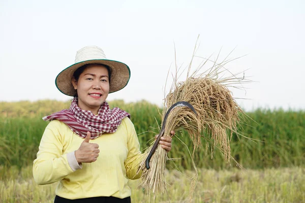 Feliz Agricultora Asiática Usar Sombrero Taparrabos Tailandeses Sostiene Hoz Para — Foto de Stock