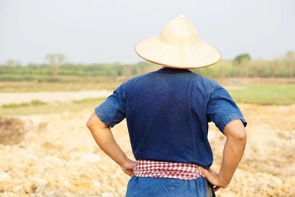 アサインの男性農家のバックビューでは 腰に手を置く帽子 青いシャツを着て 農業地域に立っている 農業職業 タイ農家 — ストック写真