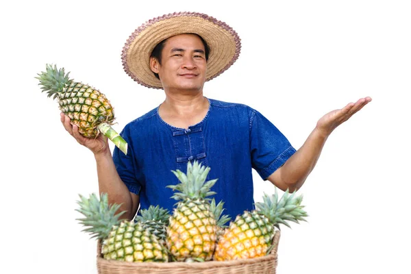 Asian Man Farmer Wears Hat Blue Shirt Holds Pineapple Fruit — Stock Photo, Image