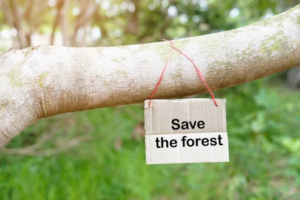 Papírová Značka Slovy Uložit Les Visí Větvi Stromu Lese Koncept — Stock fotografie
