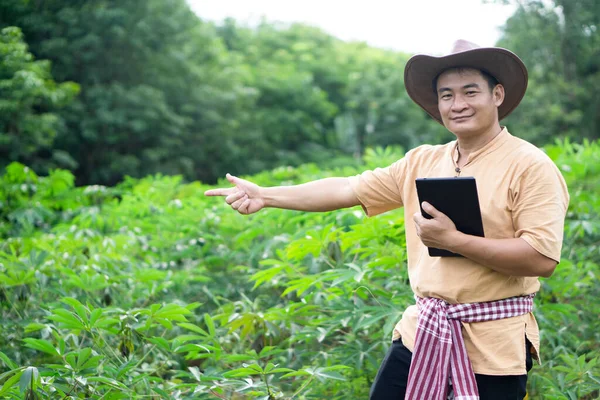 Yakışıklı Asyalı çiftçi Cassava Garden 'da. Büyüme ve bitki hastalıklarını kontrol etmek için akıllı tablet tutuyor. Çevrimiçi tarım pazarı planlayın. Konsept, zeki çiftçi. Teknoloji tarımı.