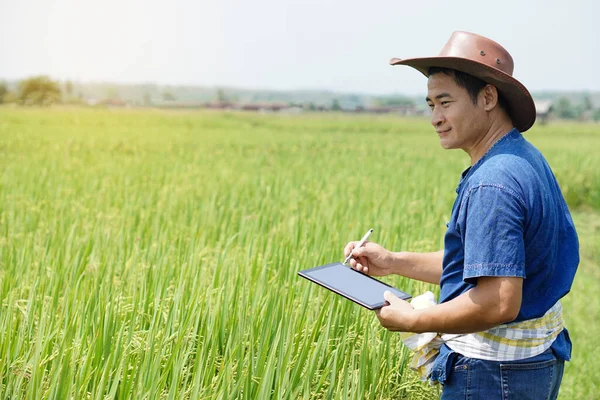 Der Asiatische Mann Steht Auf Dem Reisfeld Trägt Hut Blaues — Stockfoto