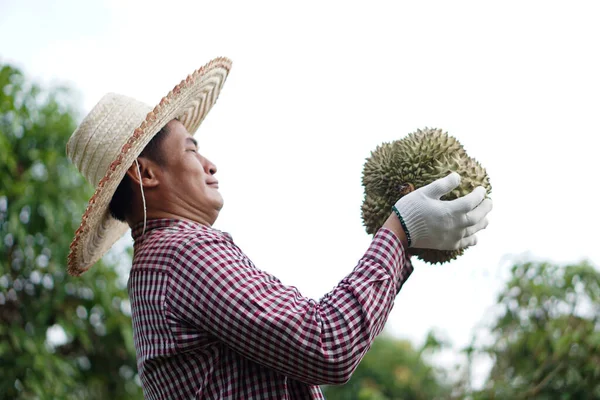 アジアの男性庭師は庭でドリアンの果物を保持しています 誇りに思う 農業職業 タイの農家は 経済的および輸出果物生産としてドリアン果物を栽培しています — ストック写真