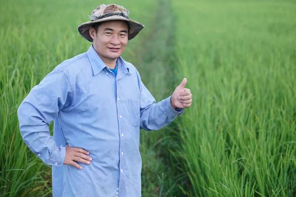 Asijský Farmář Poli Nosí Klobouk Modrou Košili Ruku Pas Palce — Stock fotografie