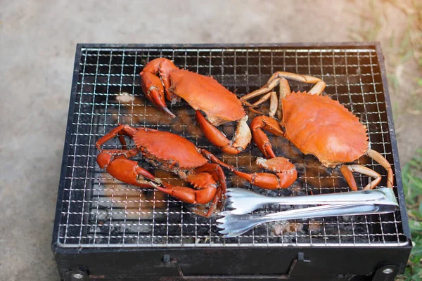 在小型木炭烤炉上烤海蟹和火钳 户外海鲜烹调 户外就餐 — 图库照片