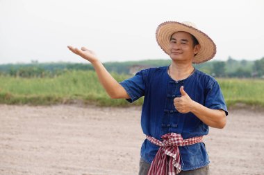 Yakışıklı Asyalı çiftçi şapka takar, mavi gömlek giyer, el hareketi yapar, başparmak kaldırır, kendinden emin hisseder. Tarım işgali kavramı. Taylandlı Çiftçi .       