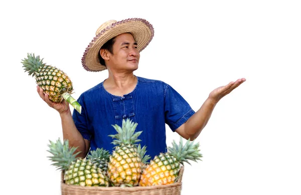 Homem Asiático Agricultor Usa Chapéu Camisa Azul Contém Frutas Abacaxi — Fotografia de Stock