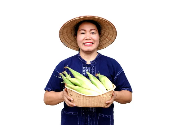 stock image Asian woman farmer hold basket of fresh organic corn. Thai local breed. Favorite for Thai northern farmers grow for boil, steam or cook for Thai traditional dessert. Concept, agricultural crop product