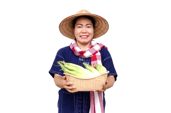 Stock image Asian woman farmer hold basket of fresh organic corn. Thai local breed. Favorite for Thai northern farmers grow for boil, steam or cook for Thai traditional dessert. Concept, agricultural crop product