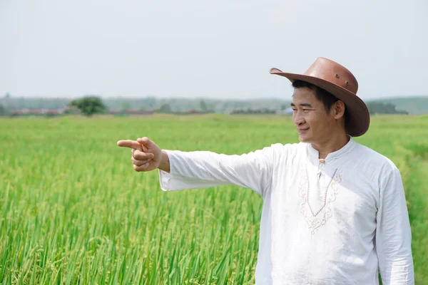 Agricultor Asiático Lleva Sombrero Camisa Blanca Gesto Dedo Arrozal Sentirse — Foto de Stock