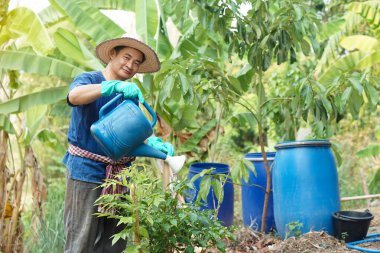 Mutlu yakışıklı Asyalı çiftçi bahçede çalışıyor. Su bitkilerini sulama tenekesini tutuyor. Tarım işgali kavramı. Çiftçi bitkilerle ilgilenir. Yeterlilik ekonomisi                  