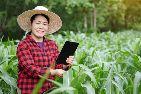 Asiatische Bäuerin Hält Smart Tablet Informationen Sammeln Und Suchen Forschung — Stockfoto