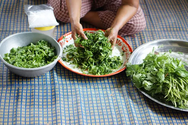 stock image Close up woman hands is squeezing vegetables for cooking, mix with salt to pickle on tray. Concept, Thai traditional cuisine, Local cooking lifestyle. Food preservation.                