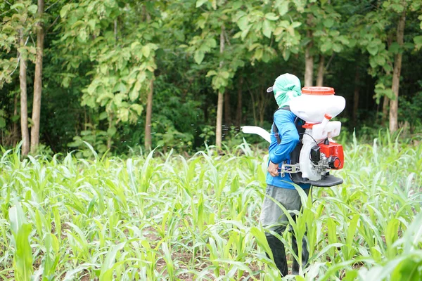 Asijský Farmář Nosí Zádech Stroj Postřik Hnojiv Stojí Zahradě Koncepce — Stock fotografie