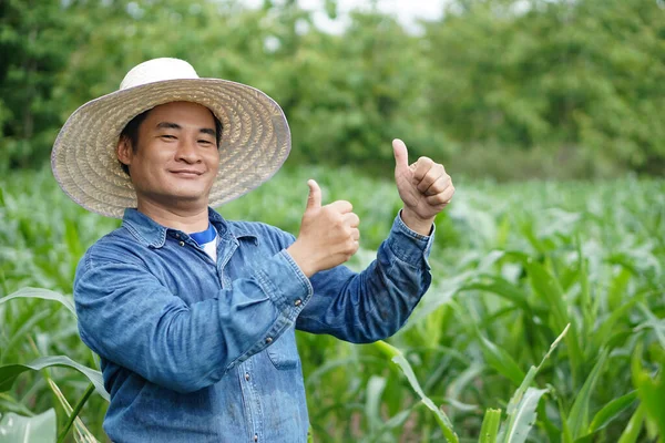 Asijský Farmář Nosí Klobouk Modré Tričko Palec Nahoru Stojí Zahradě — Stock fotografie