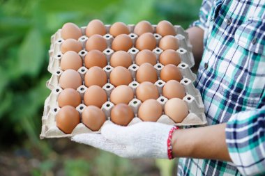 Kapalı çiftçi tepsisi çiftlikten tavuk yumurtası al ve satışa hazır ol. Konsept, organik tarım, çiftçiler sağlıklı ekolojik gıda üretir. Kötü ekonomide en iyi yemek..         
