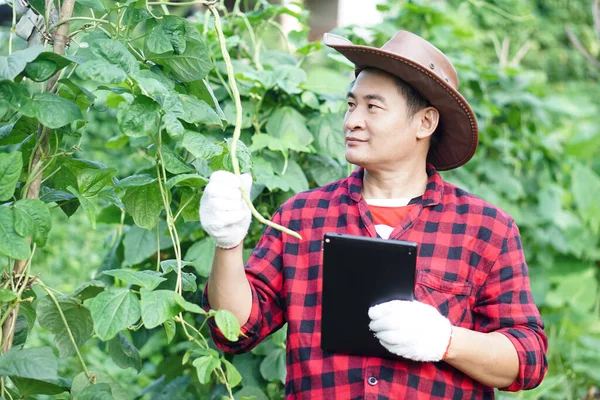Schöner Asiatischer Gärtner Hält Ein Intelligentes Tablet Der Hand Wachstum — Stockfoto