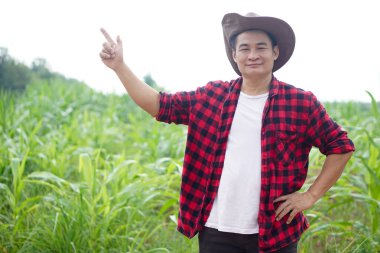 Yakışıklı Asyalı çiftçi şapka takar, kırmızı ekose gömlek giyer, el ele belime poz verir, mısır bahçesini işaret eder. Tarım işgali kavramı. Metin veya reklam eklemek için boşluk kopyala.              