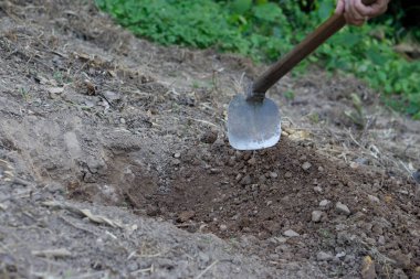 Uzun saplı çapa toprak kazmak bitki ya da ağaç yetiştirmek için çukur açmak ya da bir şey gömmek için delik açmaktır. Kavram, Tayland 'da geleneksel tarım aracı. Bahçıvanlık. 