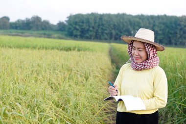 Asyalı kadın çiftçi çeltik tarlasında, şapka takıyor, sarı gömlek giyiyor, defter kağıdı tutuyor, bitkilerin büyümesini ve hastalığını inceliyor. Ekinleri geliştirmek için kavram, tarım araştırması ve öğrenim.