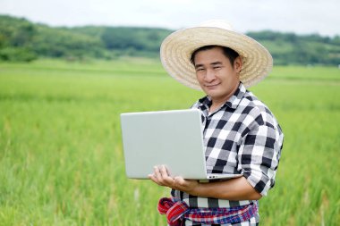 Yakışıklı Asyalı çiftçi şapka takıyor, ekose gömlek giyiyor, bilgisayarını tutuyor ve çeltik tarlasında yetişen bitkilerin büyümesi ve hastalıkları hakkında bilgi topluyor. Kavram, tarım reseach, teknoloji kullanın.