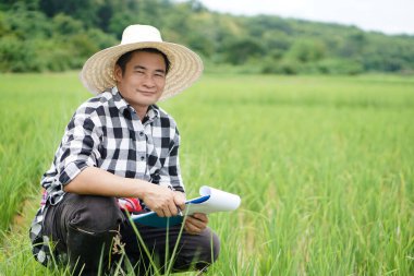 Asyalı çiftçi çeltik tarlasında bitki yetiştirme ve hastalıklarını inceliyor, şapka takıyor, ekose gömlek giyiyor, kağıt pano tutuyor. Kavram, tarım eğitimi veya sorunları çözmek veya mahsulleri yetiştirmek için araştırma.