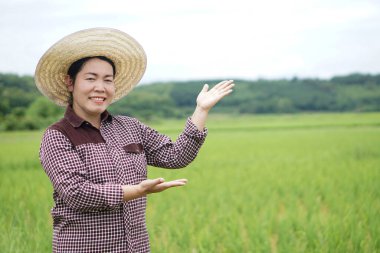 Mutlu Asyalı kadın çiftçi çeltik tarlasında, şapka takıyor, ekose gömlek giyiyor, bir şey sunmak için el hareketi yapıyor. Kavram, tarım işgali. Yaşam tarzı. Metin veya reklam eklemek için boşluk kopyala.   