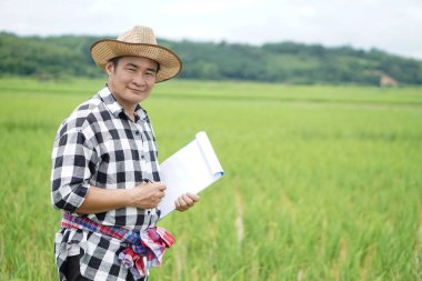 Asyalı çiftçi çeltik tarlasında bitki yetiştirme ve hastalıklarını inceliyor, şapka takıyor, ekose gömlek giyiyor, kağıt pano tutuyor. Kavram, tarım eğitimi veya sorunları çözmek veya mahsulleri yetiştirmek için araştırma. 