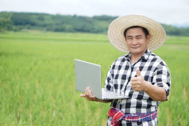 Yakışıklı Asyalı çiftçi şapka takıyor, ekose gömlek giyiyor, bilgisayarını tutuyor ve çeltik tarlasında yetişen bitkilerin büyümesi ve hastalıkları hakkında bilgi topluyor. Kavram, tarım reseach, teknoloji kullanın.