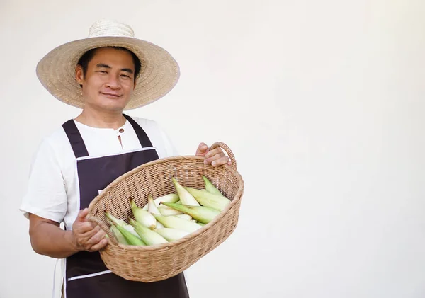 Happy handsome man farmer, wears hat, white shirt and apron, holds basket of organic corns. Concept, agriculture occupation. Organic corn. Thai local breed. Thai northern farmers grow for boil, cook.