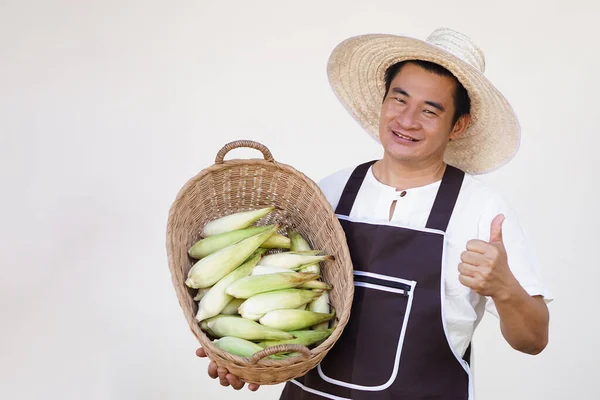 Happy handsome man farmer, wears hat, white shirt and apron, holds basket of organic corns. Concept, agriculture occupation. Organic corn. Thai local breed. Thai northern farmers grow for boil, cook
