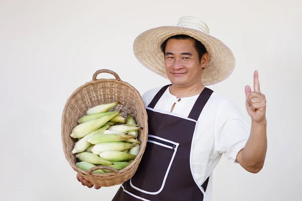 Happy handsome man farmer, wears hat, white shirt and apron, holds basket of organic corns. Concept, agriculture occupation. Organic corn. Thai local breed. Thai northern farmers grow for boil, cook.