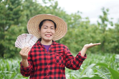 Mutlu Asyalı kadın şapka takıyor, kırmızı ekose gömlek giyiyor, Tayland banknotlarını bahçıvanda tutuyor. Kavram, tarım işgali. Taylandlı çiftçi yaşam tarzı. Gelir, kar veya destek almak için memnun.  