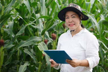 Asyalı kadın çiftçi şapka, beyaz gömlek giyer, mısır bahçesindeki bitki ve bitki hastalıklarını kaydetmek ve incelemek için kağıt pano tutar. Kavram. Tarım işgali, anket ve araştırma. 