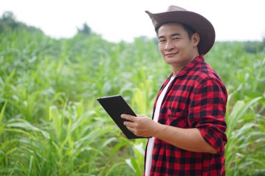 Yakışıklı Asyalı çiftçi bahçede, şapka takıyor, kırmızı ekose gömlek giyiyor, elinde akıllı tablet var. Güvenilir hissedin. Tarım işgali, teftiş, tarımsal ekinler ve araştırmalar.         