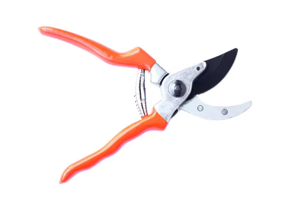 Pruner Pruning Scissors Isolated White Background Concept Tool Equipment Working — Stock Photo, Image
