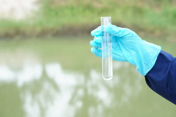 Closeup hand wears blue glove holds test tube of sample water from lake. Concept, explore, inspect quality of water from natural source, prepare for doing experiment. Test of water pollution.