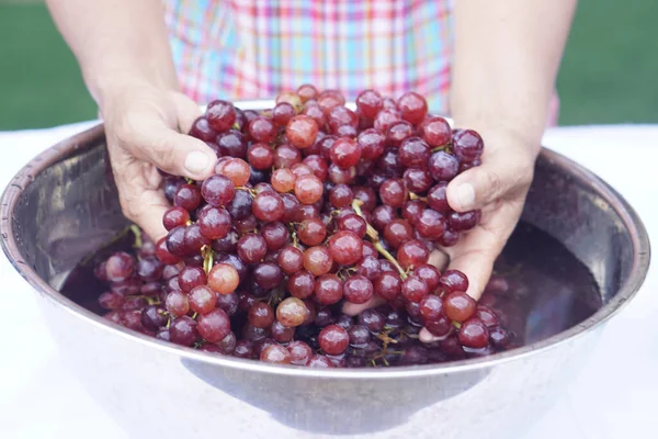 Closeup woman hands is washing grape fruits in sink. Soak fruits in water which mixed with baking soda powder or salt for cleanliness and safety. Concept, how to wash grape