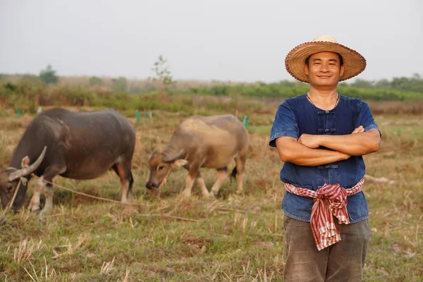 Handsome Asian man farmer wears hat, blue shirt, crossed arms on chest, stands at animal farm. Concept, livestock, Thai farmers raise and take care buffalos as economic and export animals.