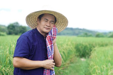 Asyalı çiftçi çeltik tarlasında, yorgun ve sıcak hissediyor, yüzünü silmek için Tayland peştamalını kullan. Kavram, tarım işgali, çiftçi yoksulluğa karşı sıkı çalışır. Çiftçi yaşam tarzı.