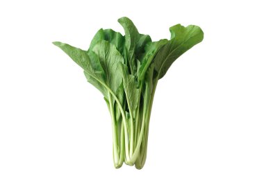 Beyaz arka planda taze yeşil organik sebzeler. Kavram, yemek malzemesi, yemek pişirmeye hazır ol. Vitamin ve lifli yiyeceklerle sağlıklı beslenme..   