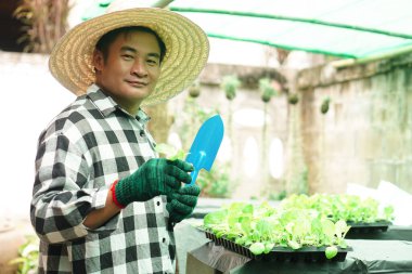 Asyalı bahçıvan şapka takıyor, ekose gömlek giyiyor, serada sebze yetiştirmek için kürek tutuyor. Kavram, tarım işgali, bahçıvanlık. Sağlıklı yaşam tarzı ve hobileri.    