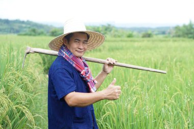 Asyalı çiftçi çeltik tarlasında, şapka takıyor, mavi gömlek giyiyor, peştamallı fular takıyor, omzunda çapa taşıyor, başparmak kaldırıyor. Kavram, tarım işgali. Organik tarım. Memnun oldum.        