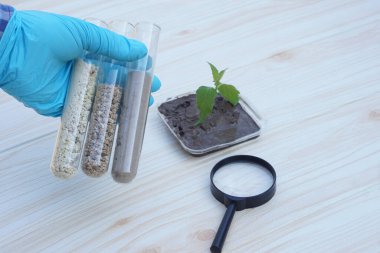 Closeup hand wears blue glove hold test tubes that contain sample soil. Concept, soil quality inspection, research and science experiment. Laboratory. Find the best from different soil type and source