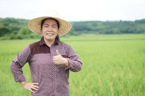 Asian woman farmer wears hat,thumbs up, feels confident at paddy field. Concept, agriculture occupation. Thai farmer. Working with nature. Organic farming.
