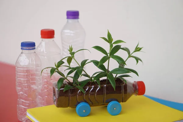 DIY car which grow plants, made from plastic bottle and caps.  Concept, Seedling from recycle crafts. Reduce, reuse and recycle plastic garbage