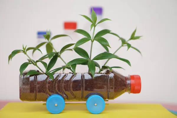 DIY car which grow plants, made from plastic bottle and caps.  Concept, Seedling from recycle crafts. Reduce, reuse and recycle plastic garbage