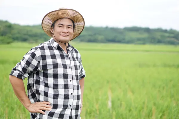 Handsome Asian man farmer is at paddy field, wear hat, plaid shirt, put hands on waist. Confident.Concept, Agriculture occupation. Thai farmer. Working with nature. Organic farming