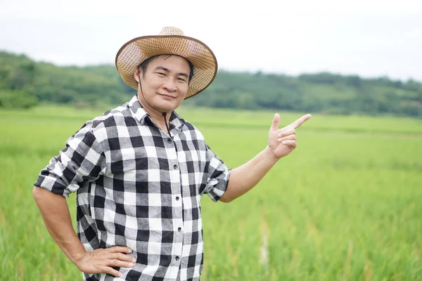 Handsome Asian man farmer is at paddy field, wears hat and plaid shirt, put hat on waist, point finger up. Concept, Agriculture occupation. Thai farmer. Working with nature. Organic farming.